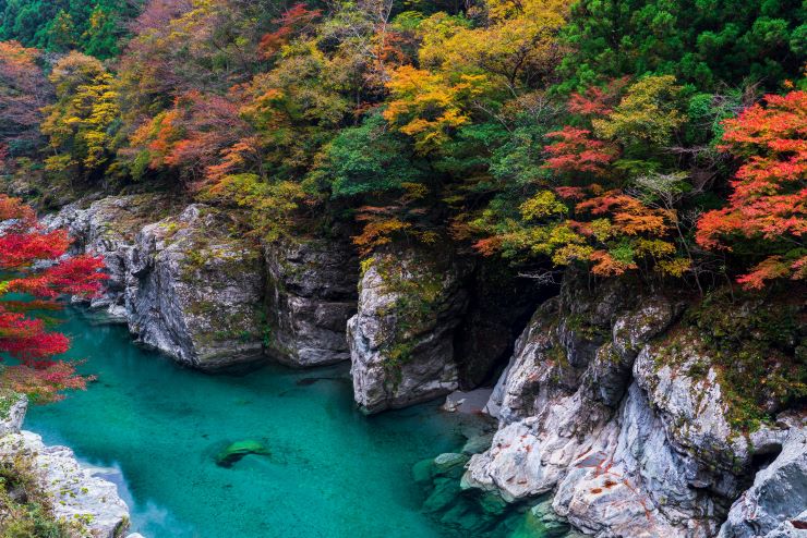 大自然の秋を満喫!四国のおすすめ紅葉スポット8選