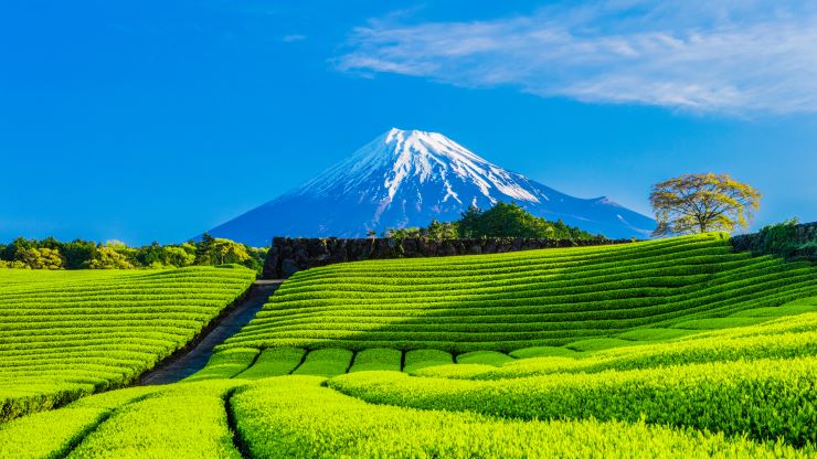 【厳選】静岡のおすすめ観光スポット13選！