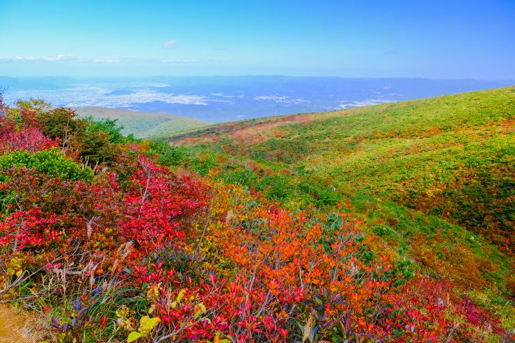 安達太良山麓の紅葉