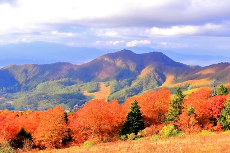 蔵王連峰と紅葉