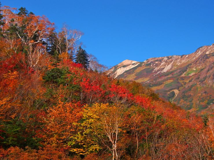栂池自然園