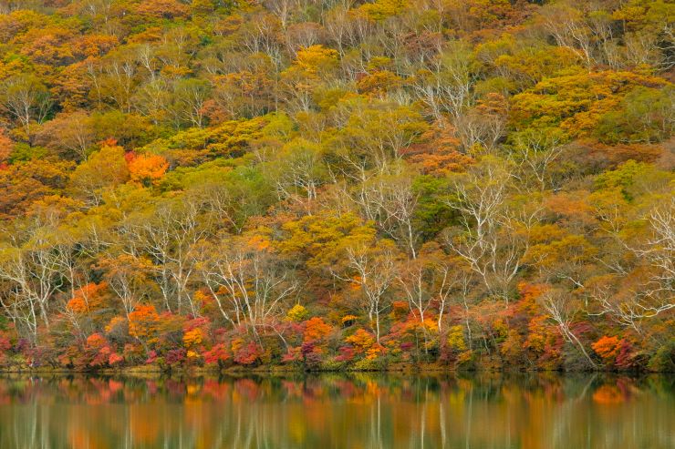 赤城山