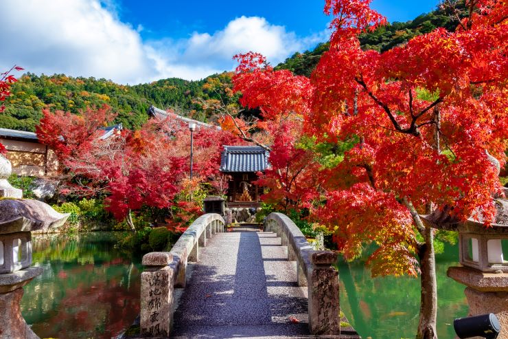 永観堂の紅葉