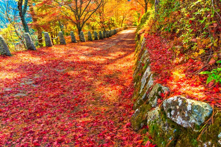 吉野山の紅葉