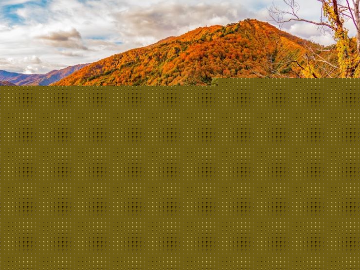 奥只見湖の紅葉