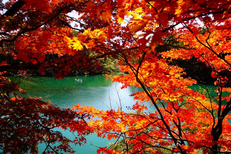 11月の旅行におすすめ！深まる秋を楽しめる国内観光スポット8選