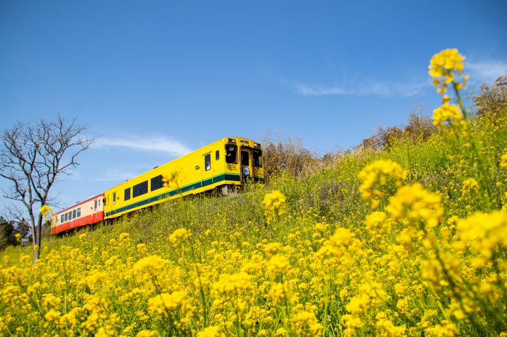 3月の旅行におすすめの観光スポット10選！春の訪れを感じる旅に出よう！