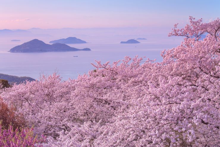 紫雲出山