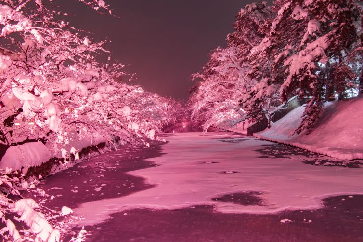 冬休み・年末の旅行に！12月におすすめの旅行スポット9選