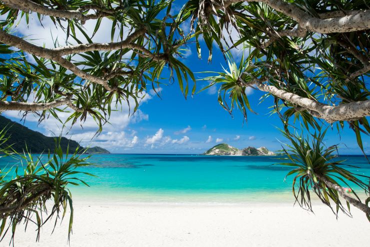 海はもちろん！山も楽しめる渡嘉敷島の魅力・おすすめ観光スポットご紹介