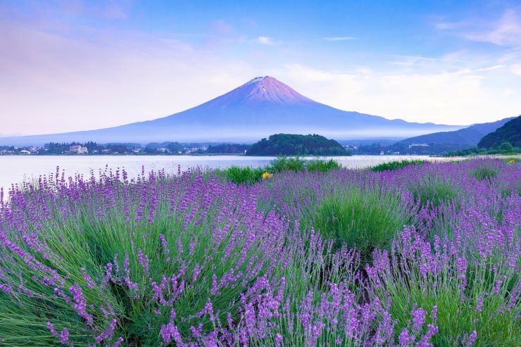 6月の旅行におすすめの観光スポット9選!梅雨こそ楽しめる人気スポットをご紹介。
