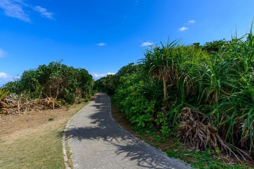 久高島「ロマンスロード」