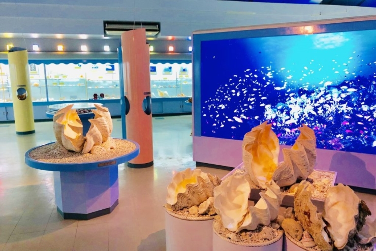 提供：海宝館
