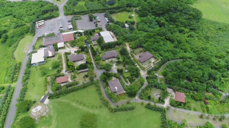  提供：石垣やいま村