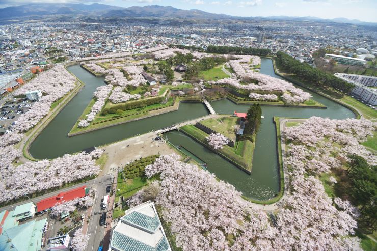 五稜郭タワーからの五稜郭の桜