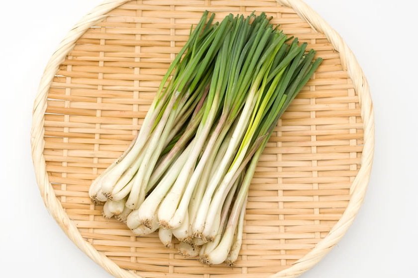 島らっきょう