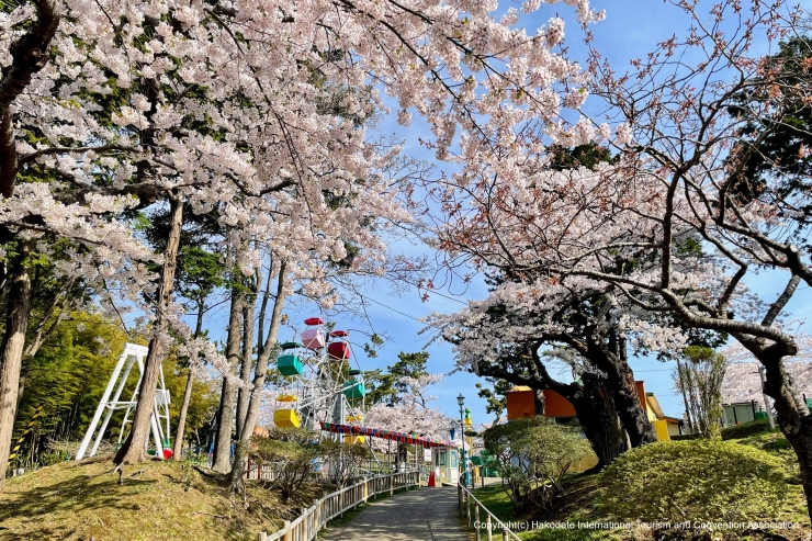 提供：函館国際観光コンベンション協会