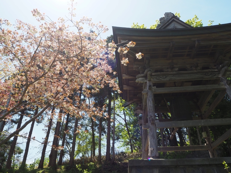 提供:有珠善光寺