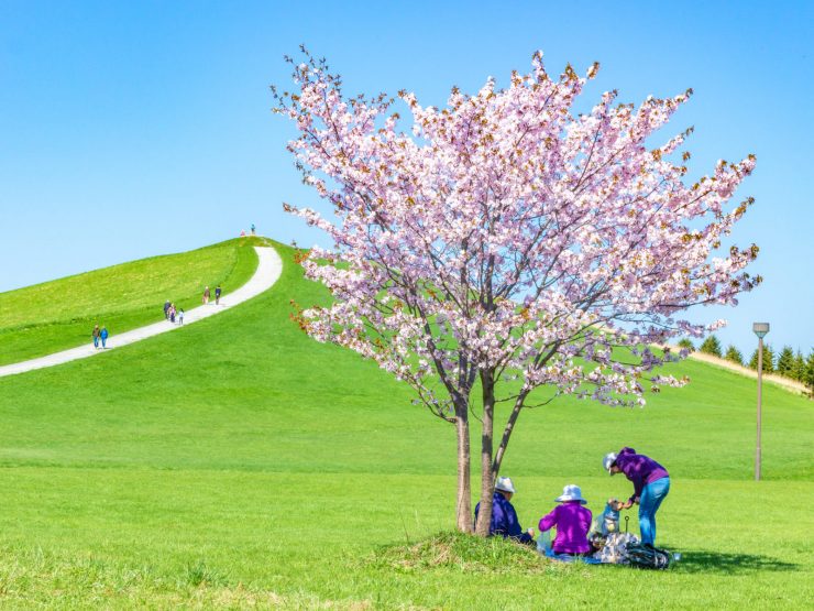 モエレ沼公園 提供:さっぽろ観光写真ライブラリー