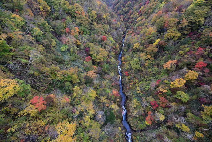 紅葉の名所・新登別大橋 提供:登別国際観光コンベンション協会