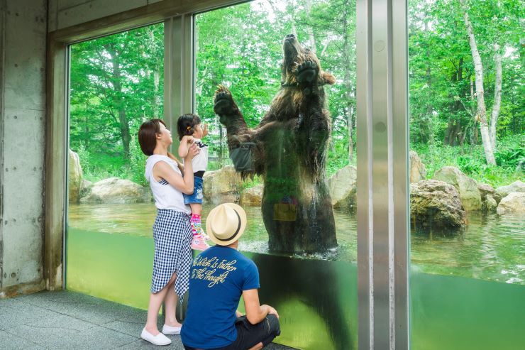 サホロリゾートベア・マウンテン