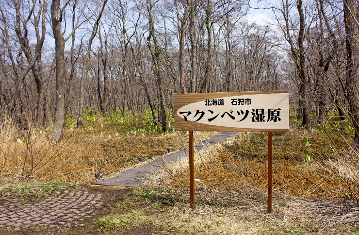 マクンベツ湿原