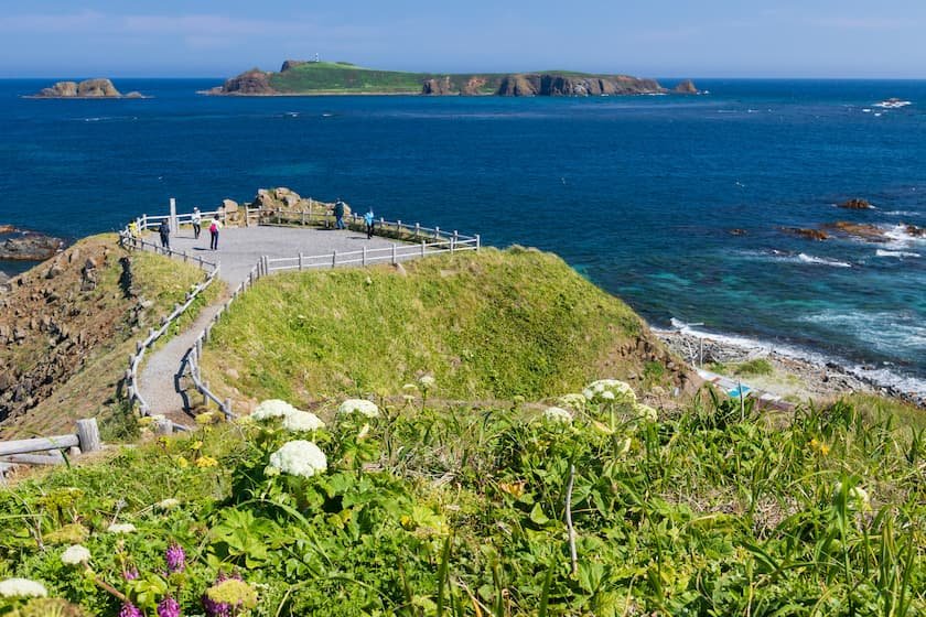 礼文島スコトン岬