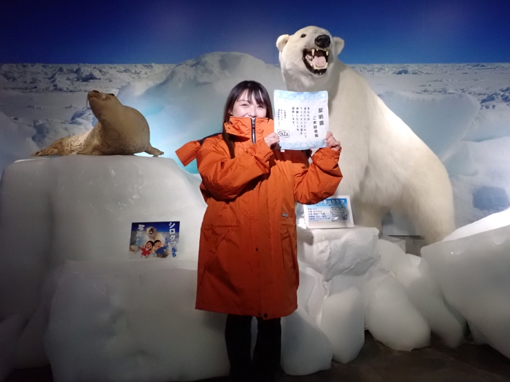 提供:北海道立オホーツク流氷科学センターGIZA