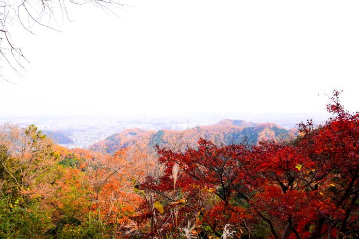 高尾山