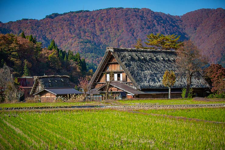 農泊とは?農泊体験って何ができるの?