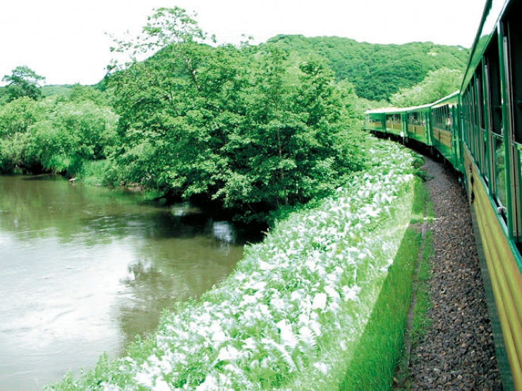 釧路湿原ノロッコ号車窓　提供：JR北海道