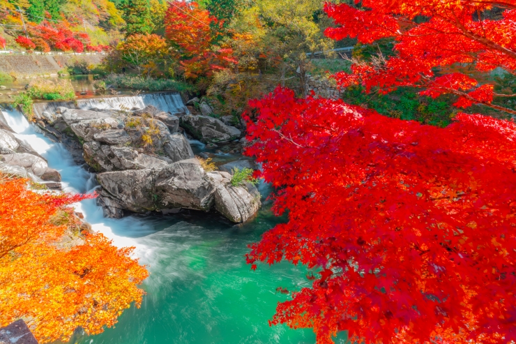 この秋 訪れたい！東海地方のおすすめ紅葉スポット20選