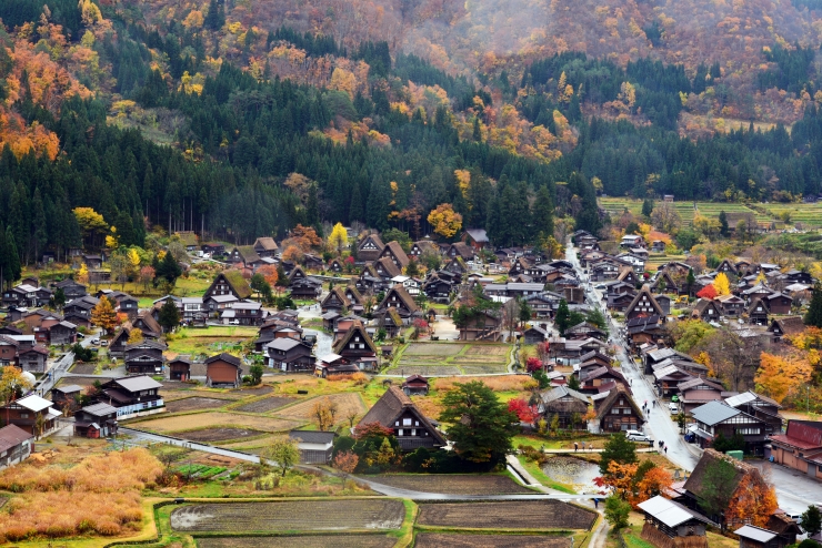 白川郷紅葉 提供:白川郷観光協会