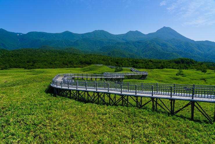 知床五湖_木道