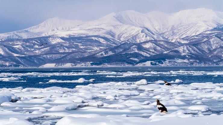 流氷