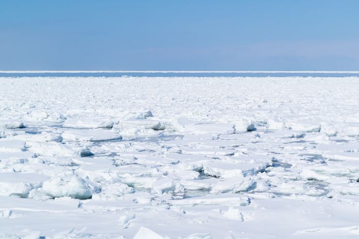 知床の流氷