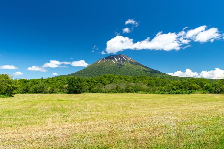 初夏の羊蹄山