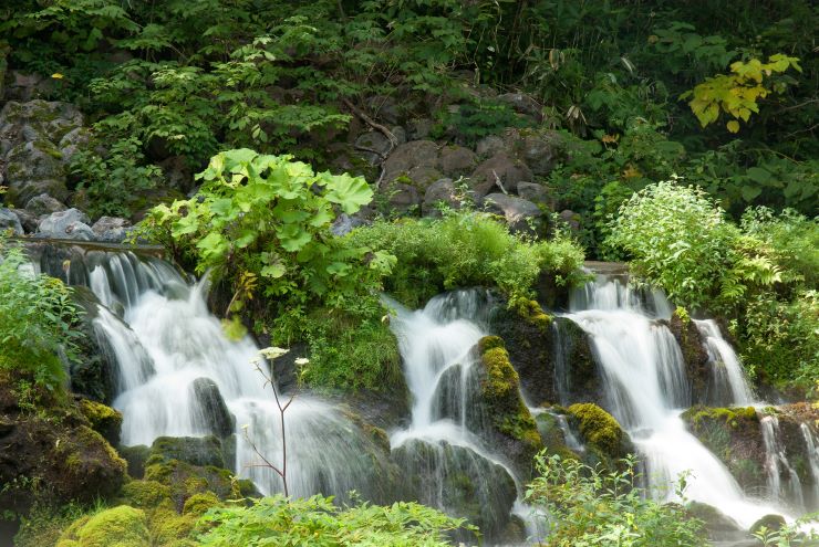 羊蹄山の湧き水
