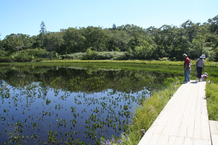 ネイチャーハイキング 画像提供：ニセコアウトドアセンター