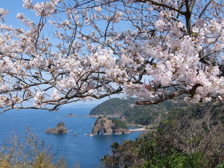 感動体験 妙見浦・象さん岩 提供:熊本県観光連盟
