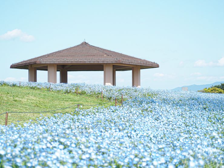 海の道海浜公園