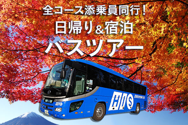 香嵐渓の紅葉ライトアップ