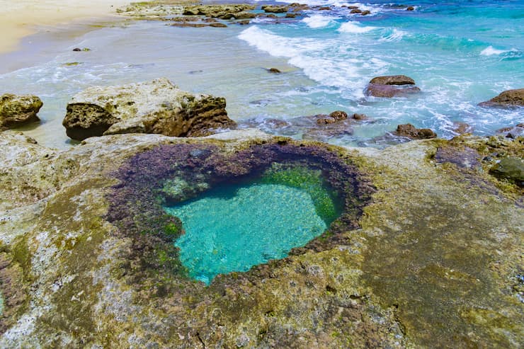 奄美ならではの観光スポットを厳選！奄美大島・加計呂麻島の魅力を満喫しよう