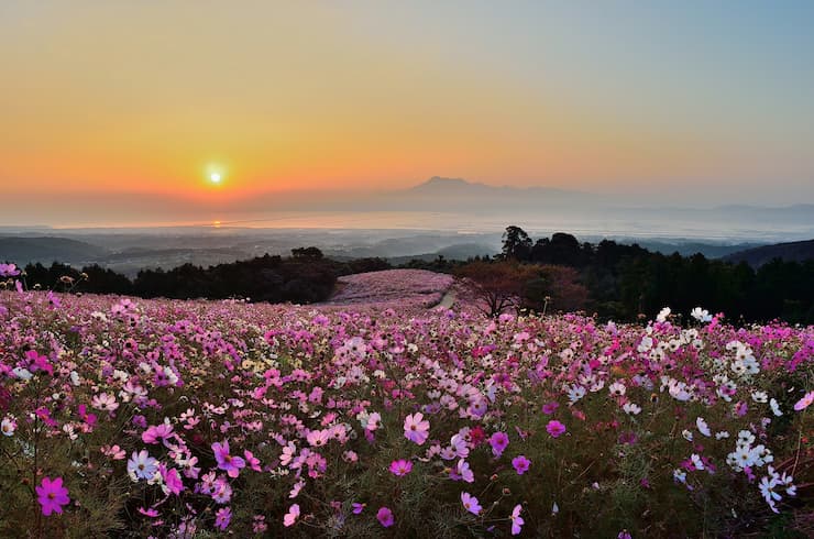 長崎県諫早市_白木峰高原