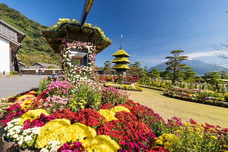 仙厳園菊祭り　提供：鹿児島県観光連盟