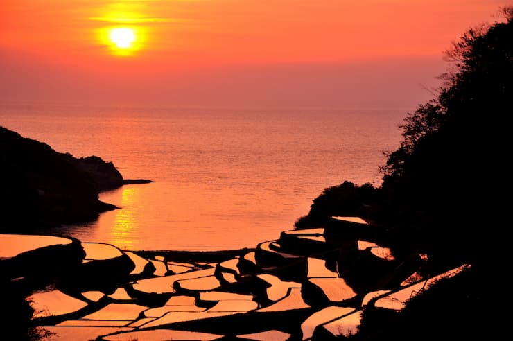 浜野浦の棚田