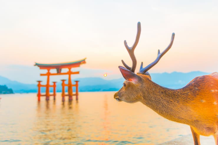 オルト
