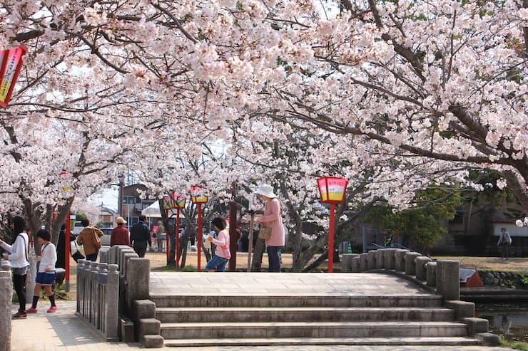 小城公園 提供:佐賀県観光連盟