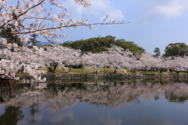 小城公園　提供：佐賀県観光連盟