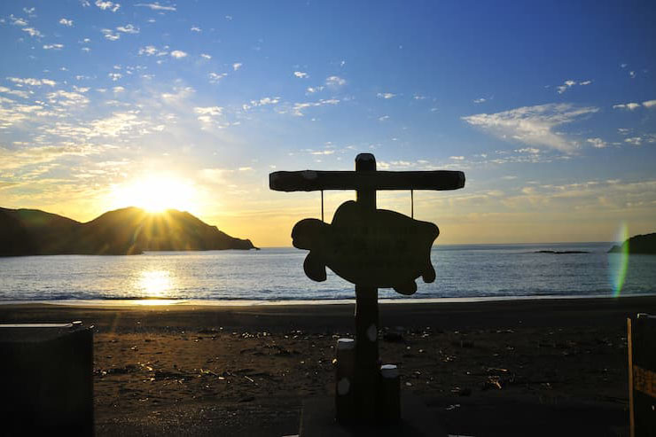 大浜海岸 提供:徳島県観光協会